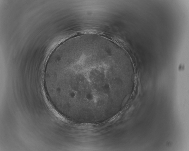 X0000111160049200906301410