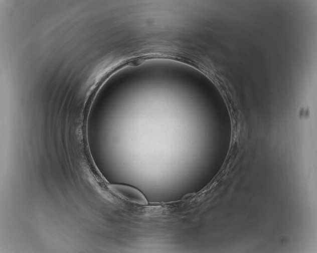 X0000111160050200906301410