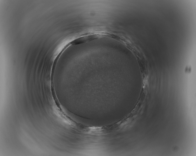 X0000111160052200906301410