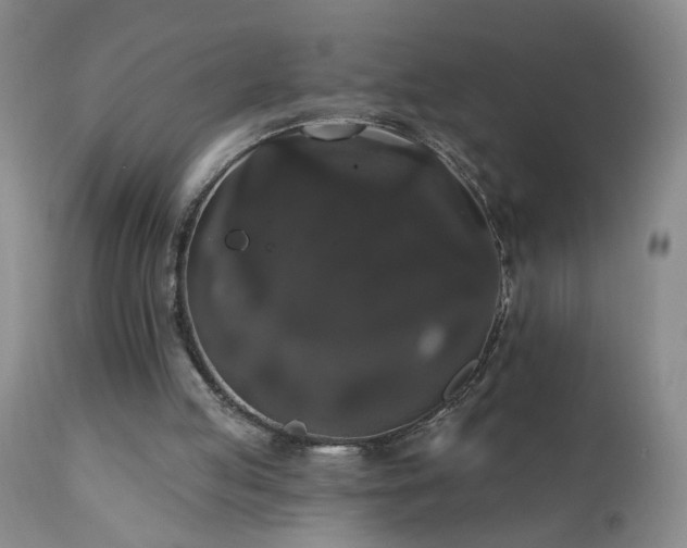 X0000111160053200906301410