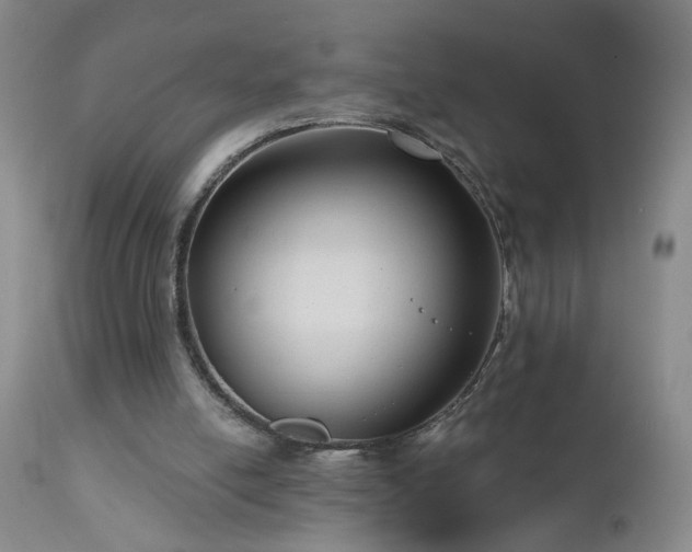 X0000111160054200906301410