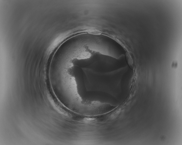 X0000111160055200906301410
