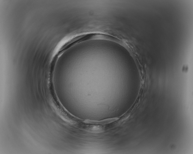 X0000111160056200906301410