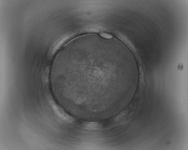 X0000111160058200906301410