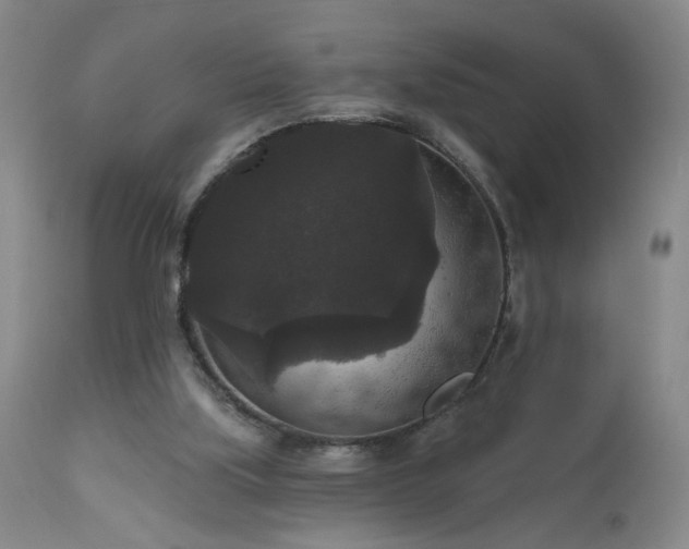 X0000111160059200906301410