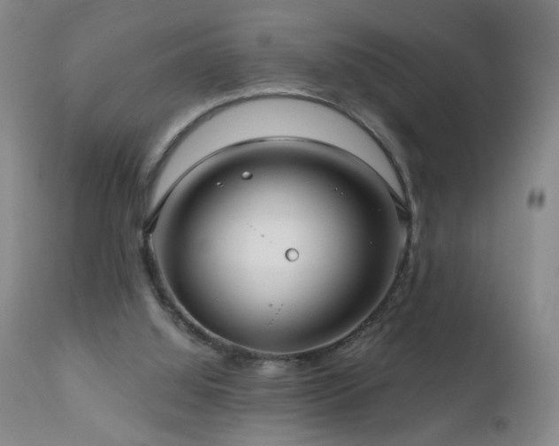 X0000111160060200906301410