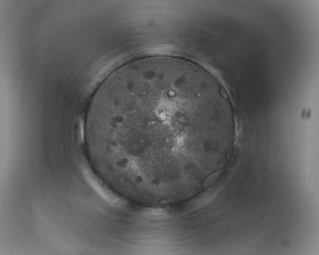 X0000111160061200906301410