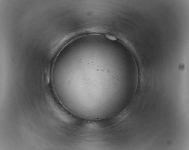 X0000111160062200906301410