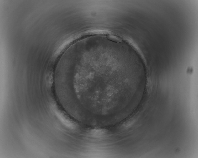X0000111160063200906301410