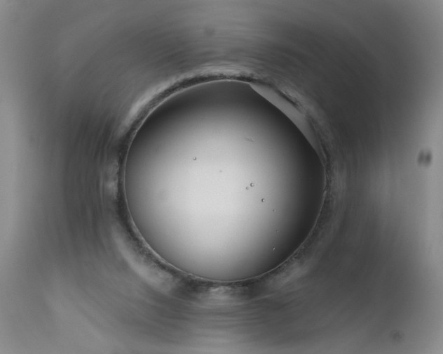 X0000111160064200906301410