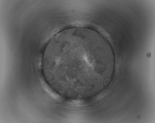 X0000111160065200906301410