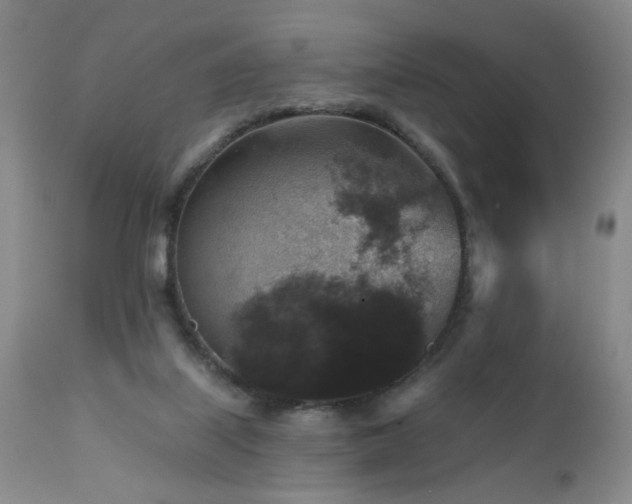 X0000111160067200906301410
