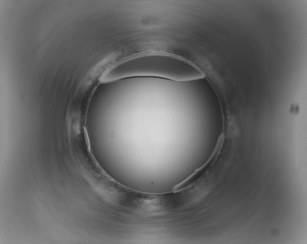 X0000111160068200906301410