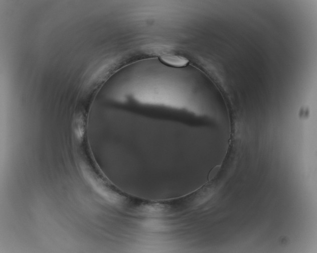 X0000111160069200906301410