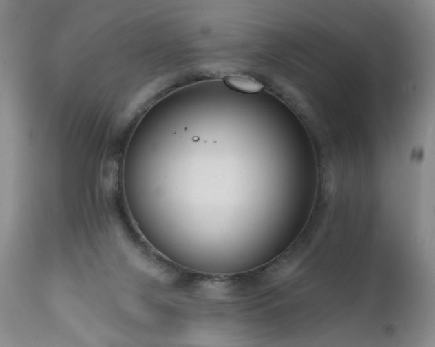 X0000111160071200906301410
