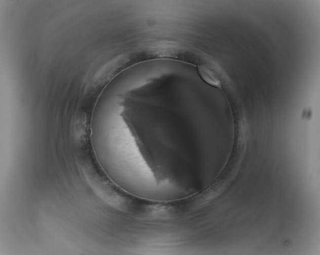 X0000111160073200906301410