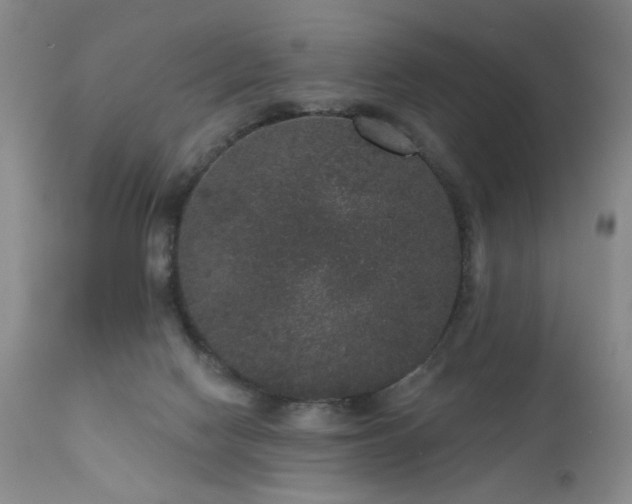 X0000111160074200906301410