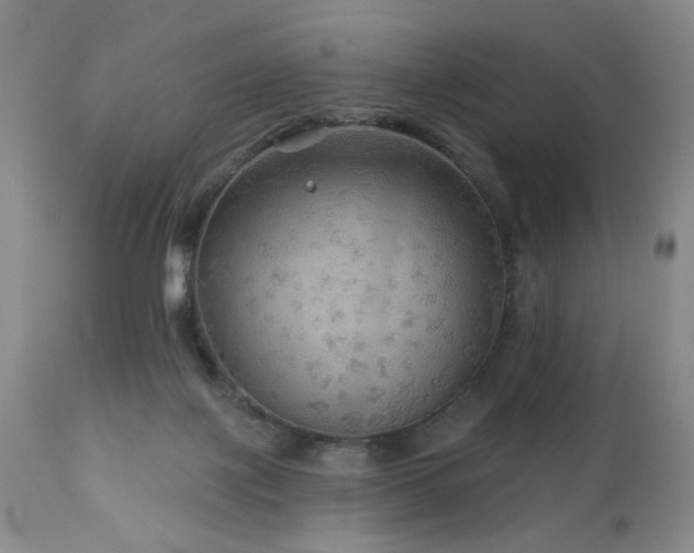 X0000111160075200906301410