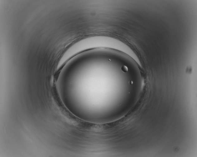 X0000111160076200906301410