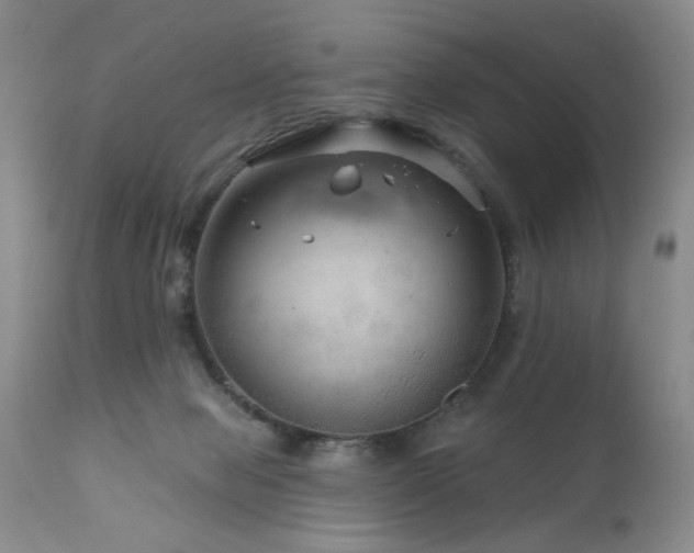 X0000111160077200906301410