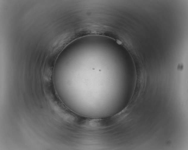 X0000111160078200906301410