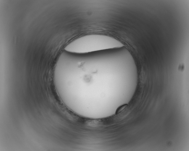 X0000111160079200906301410