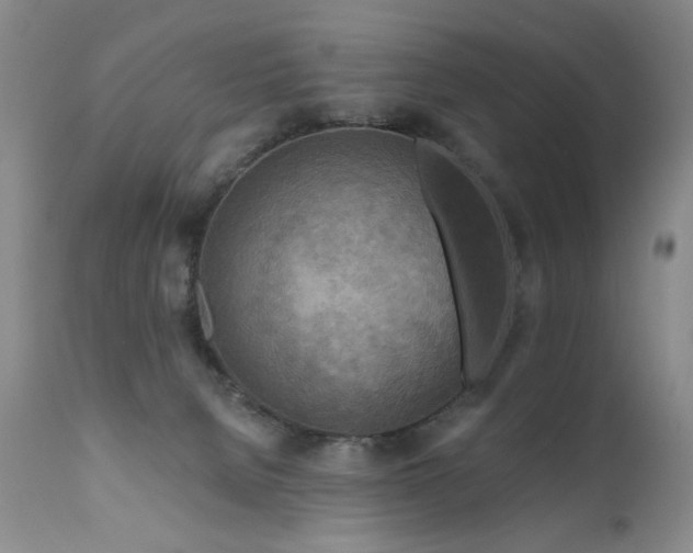 X0000111160080200906301410