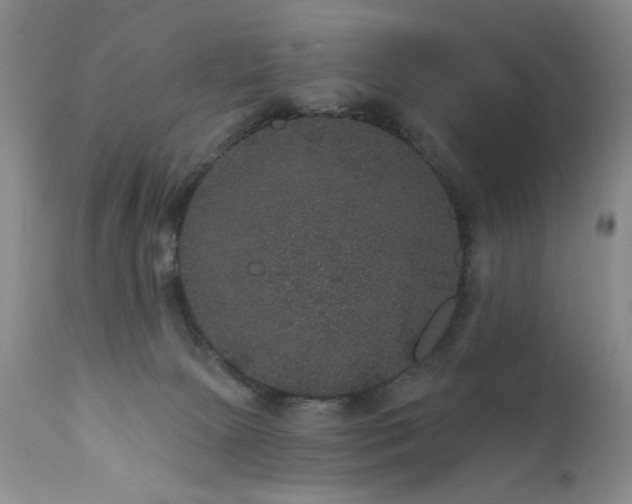 X0000111160081200906301410