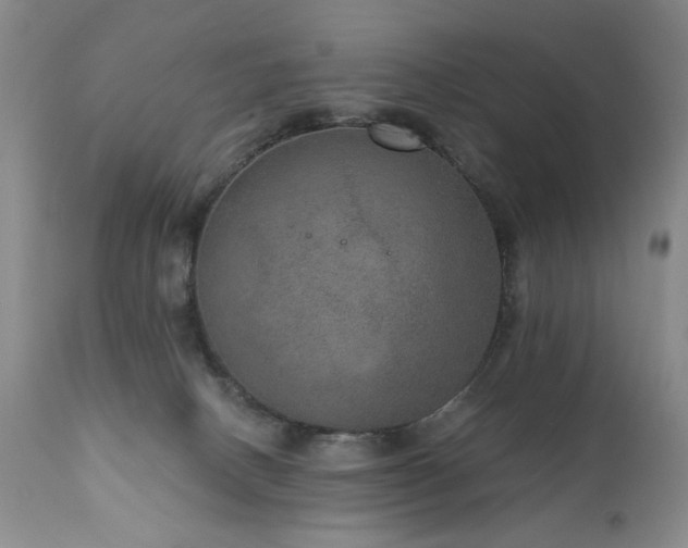 X0000111160082200906301410