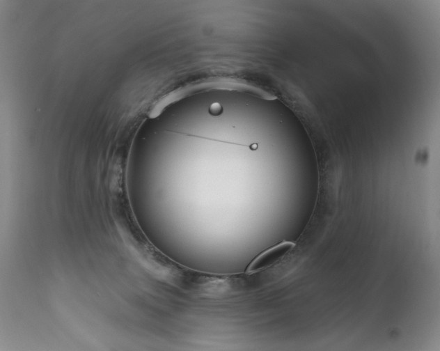 X0000111160083200906301410