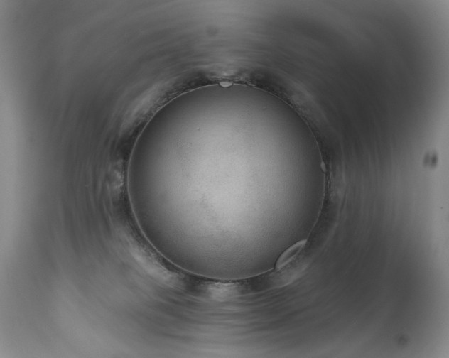 X0000111160085200906301410
