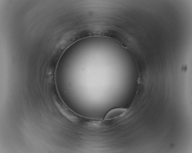 X0000111160086200906301410