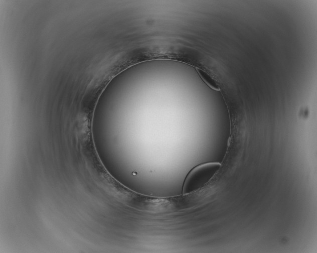 X0000111160087200906301410
