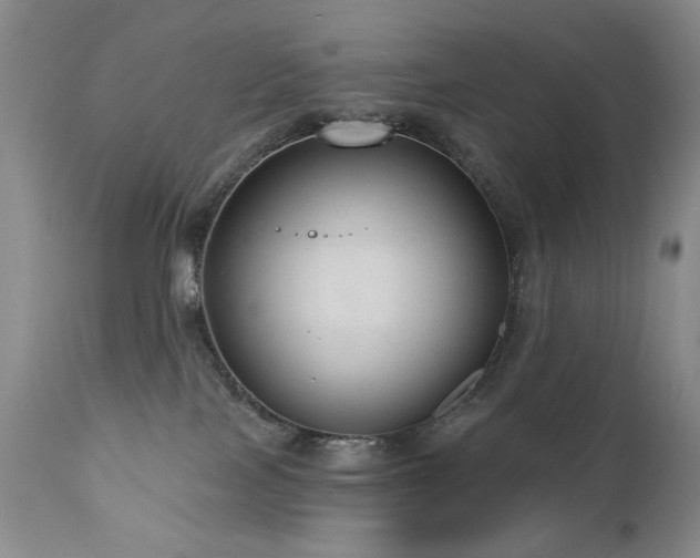 X0000111160089200906301411