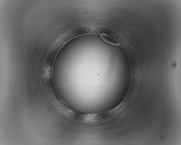 X0000111160090200906301411