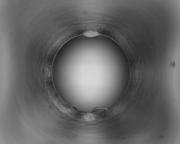 X0000111160091200906301411