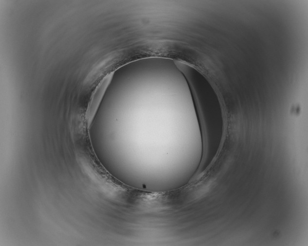 X0000111160092200906301411