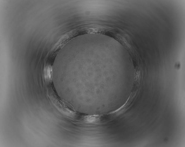 X0000111160094200906301411