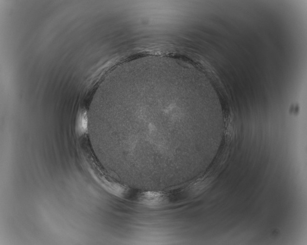 X0000111160095200906301411