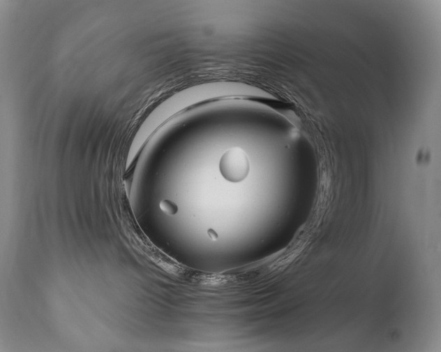 X0000111160096200906301411