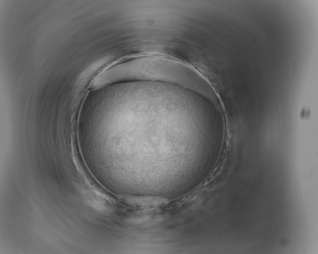 X0000111160097200906301410