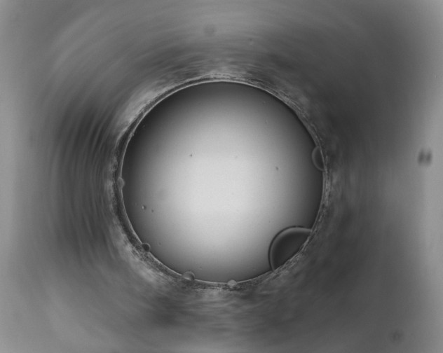 X0000111160098200906301410