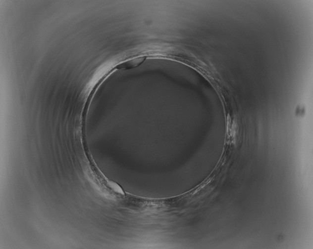 X0000111160099200906301410