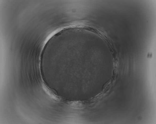 X0000111160100200906301410