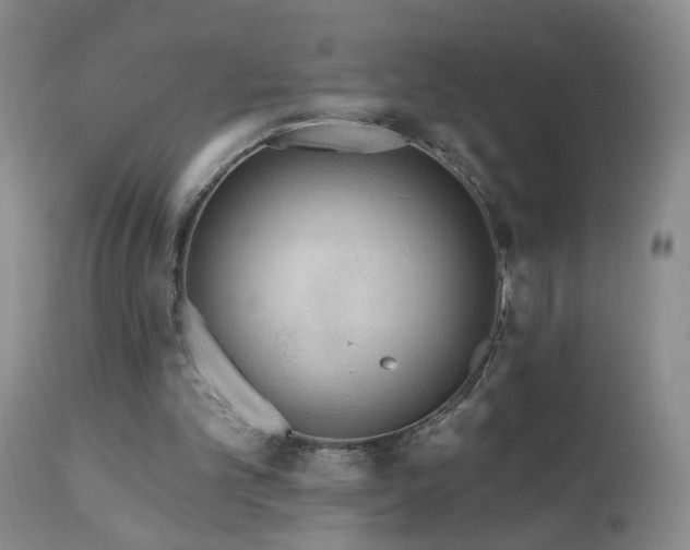 X0000111160101200906301410