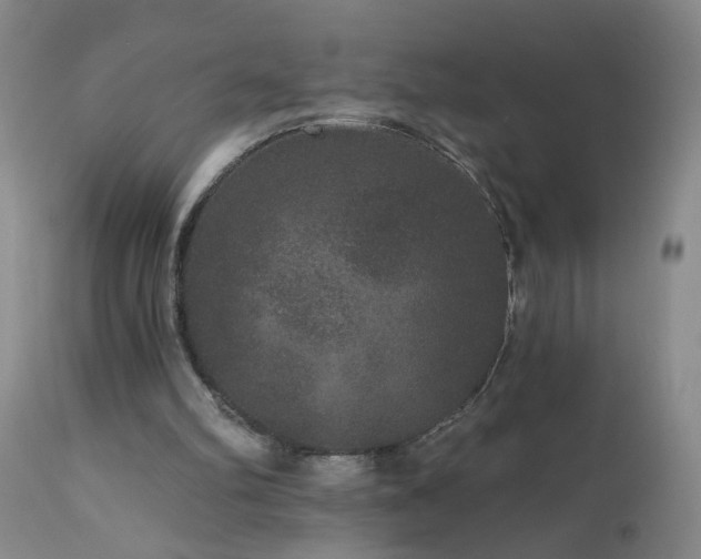 X0000111160102200906301410