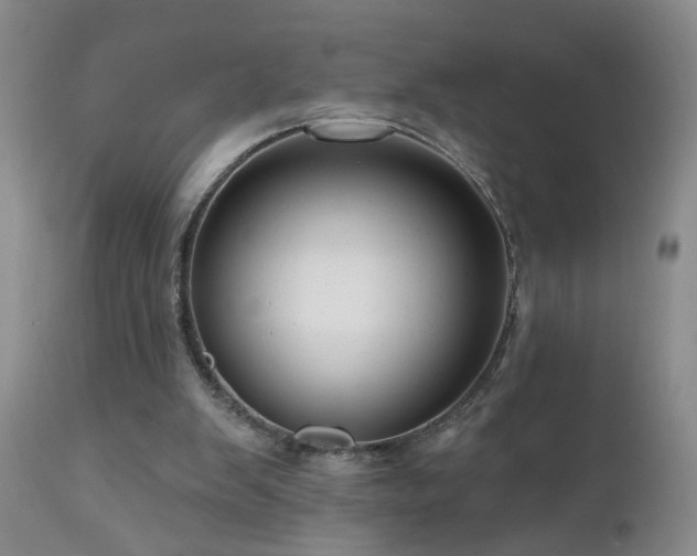X0000111160103200906301410