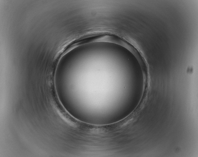 X0000111160105200906301410