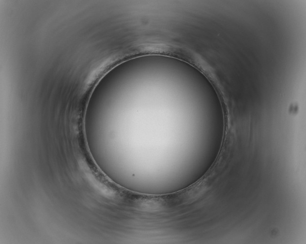 X0000111160106200906301410