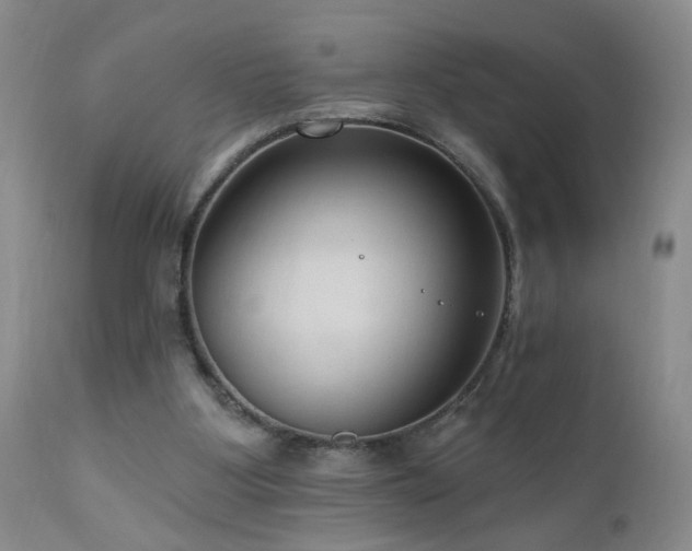 X0000111160107200906301410